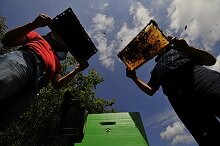 Владельцы "дальневосточных гектаров" рассказали о работе на карантине